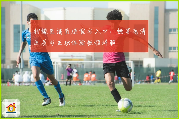 柠檬直播直连官方入口，畅享高清画质与互动体验教程详解