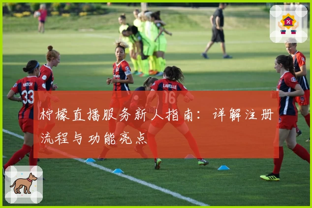 柠檬直播服务新人指南：详解注册流程与功能亮点