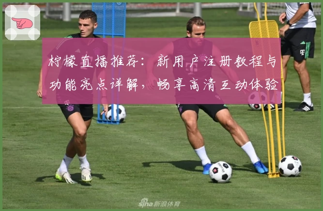 柠檬直播推荐：新用户注册教程与功能亮点详解，畅享高清互动体验