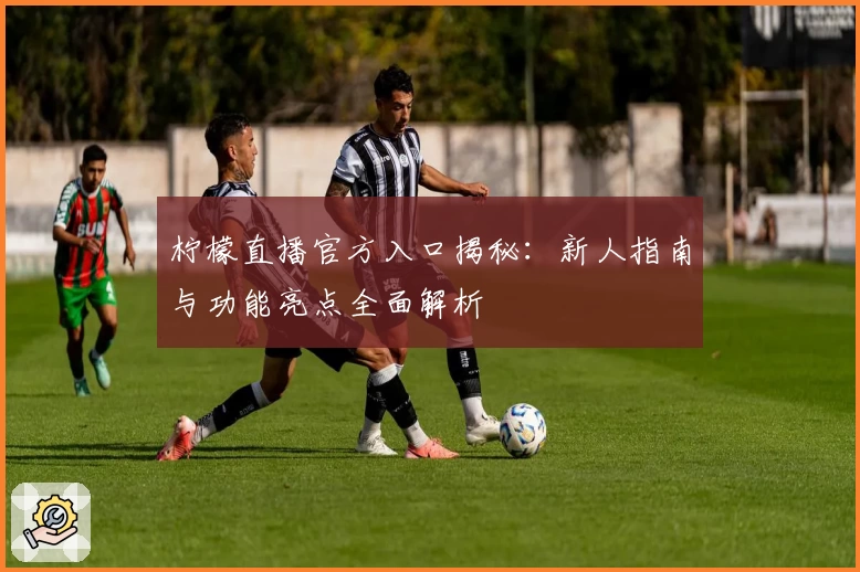 柠檬直播官方入口揭秘：新人指南与功能亮点全面解析